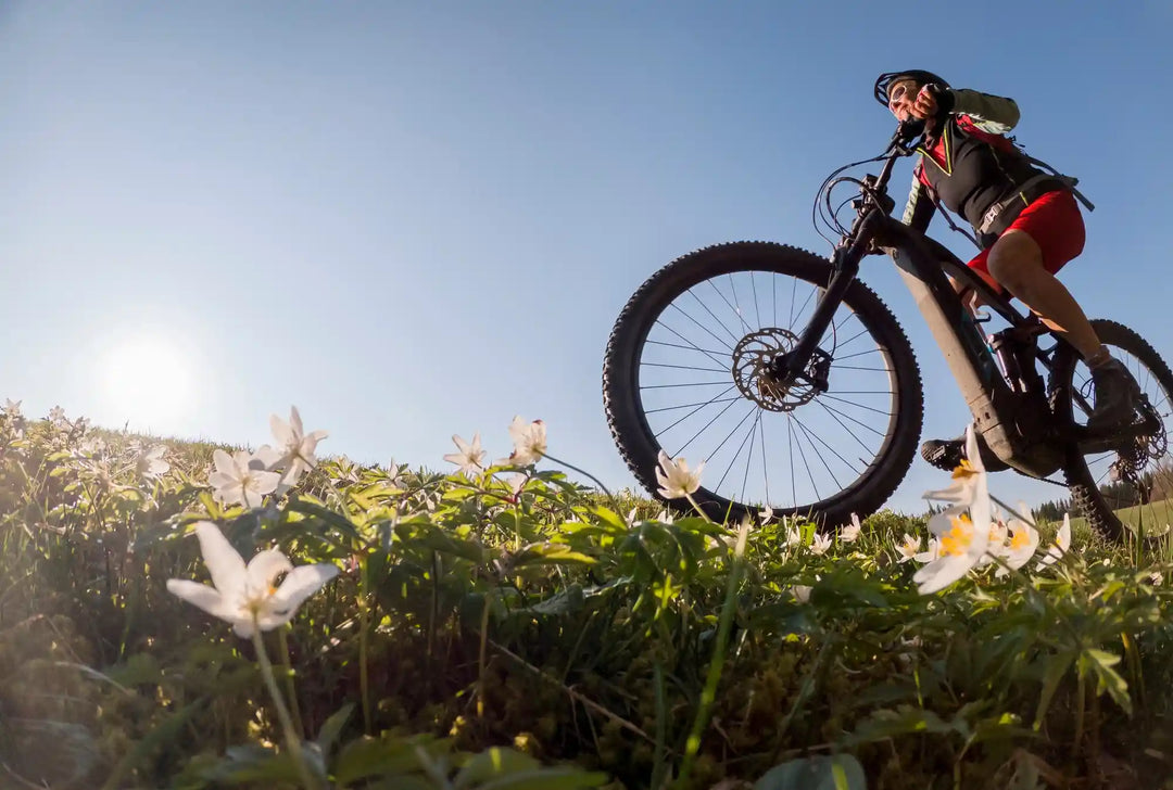 How to Charge an E-Bike: The Complete Guide