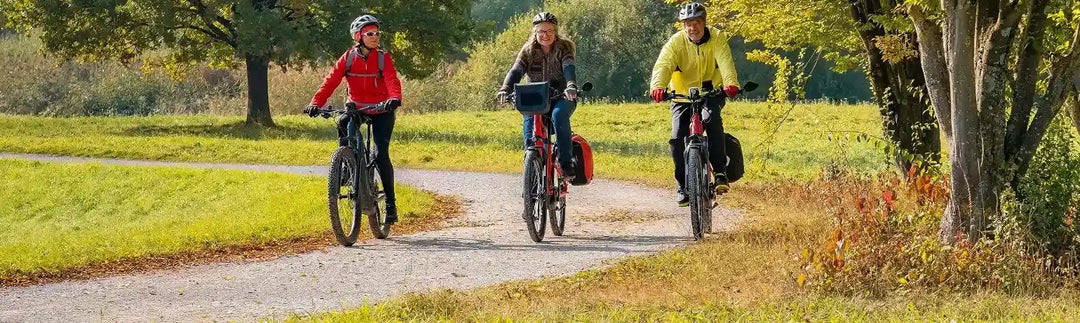 Moped-vs-Electric-Bike-Choosing-Your-Perfect-Two-Wheeled-Ride eBikeling