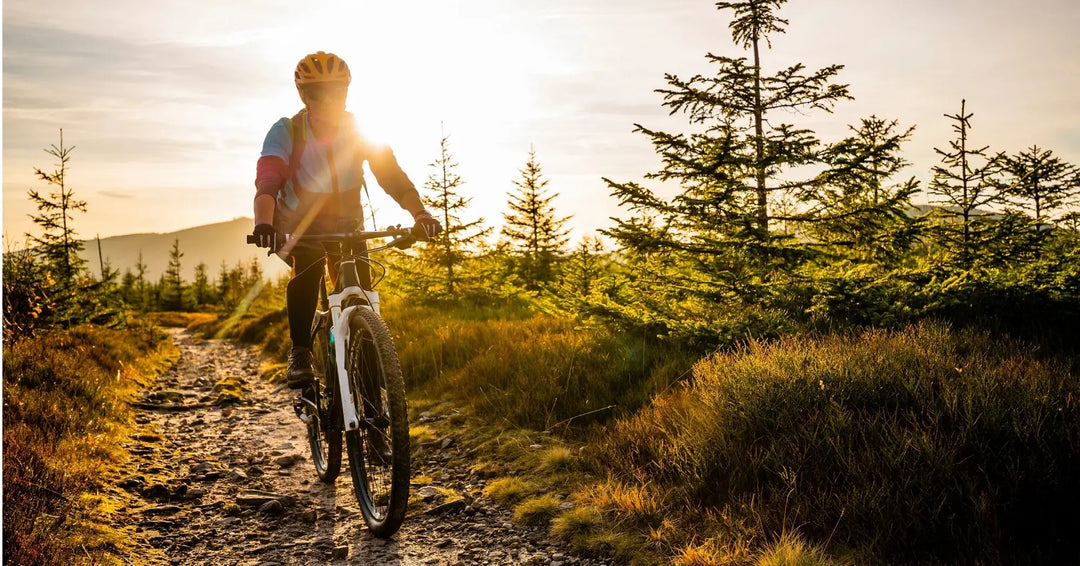 Best eBike