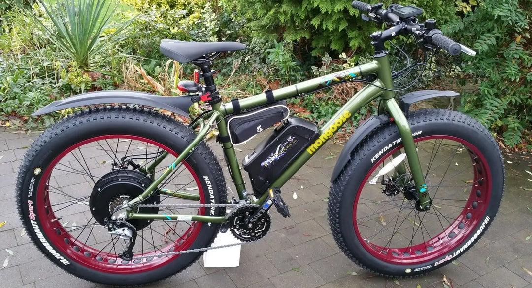 Fat Tire Electric Bike