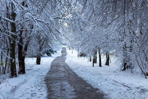 How-to-Keep-Your-E-Bike-Battery-Warm-in-the-Winter eBikeling